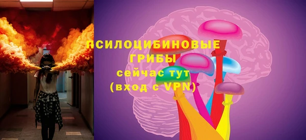 дмт Краснослободск