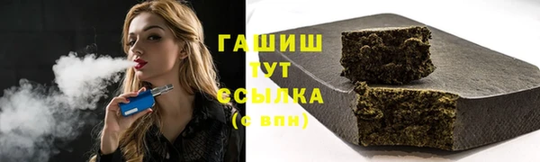 дмт Краснослободск