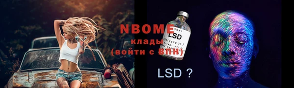 дмт Краснослободск
