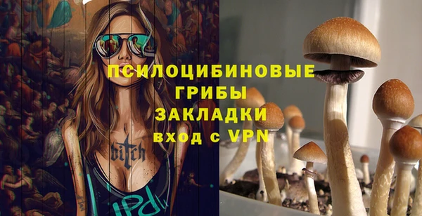 мдпв Семилуки