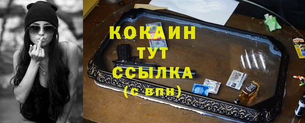 дмт Краснослободск