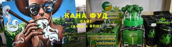 дмт Краснослободск