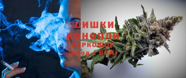 дмт Краснослободск