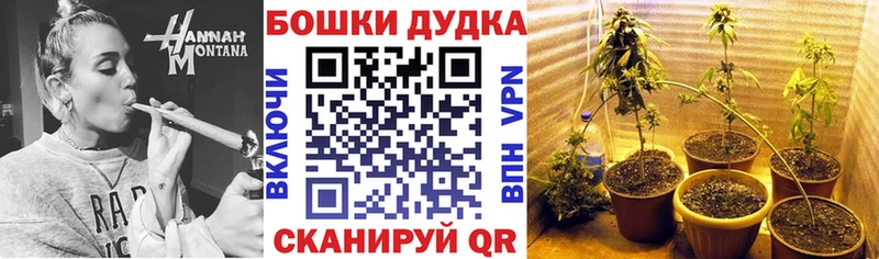 где купить наркоту  Артём  Каннабис ГИДРОПОН 